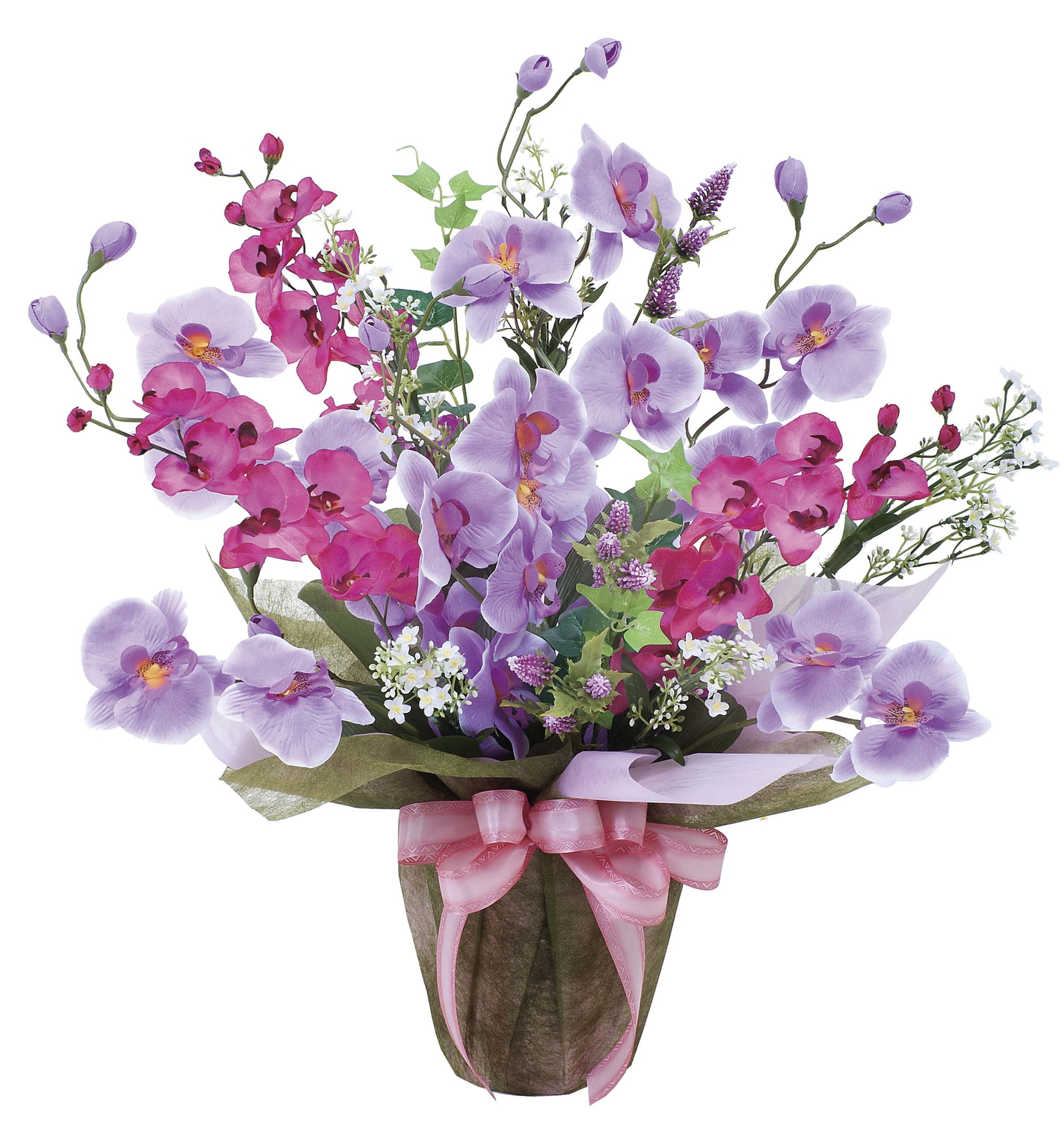 �y�ʓr�����z²ݺ�����